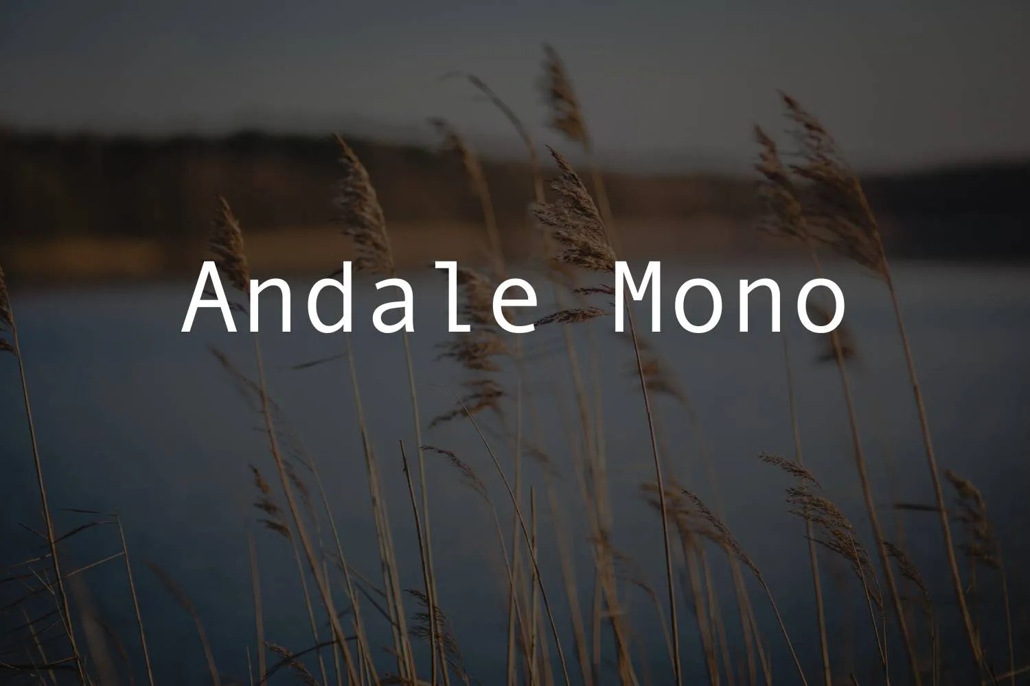 Andale Mono Font Free Download