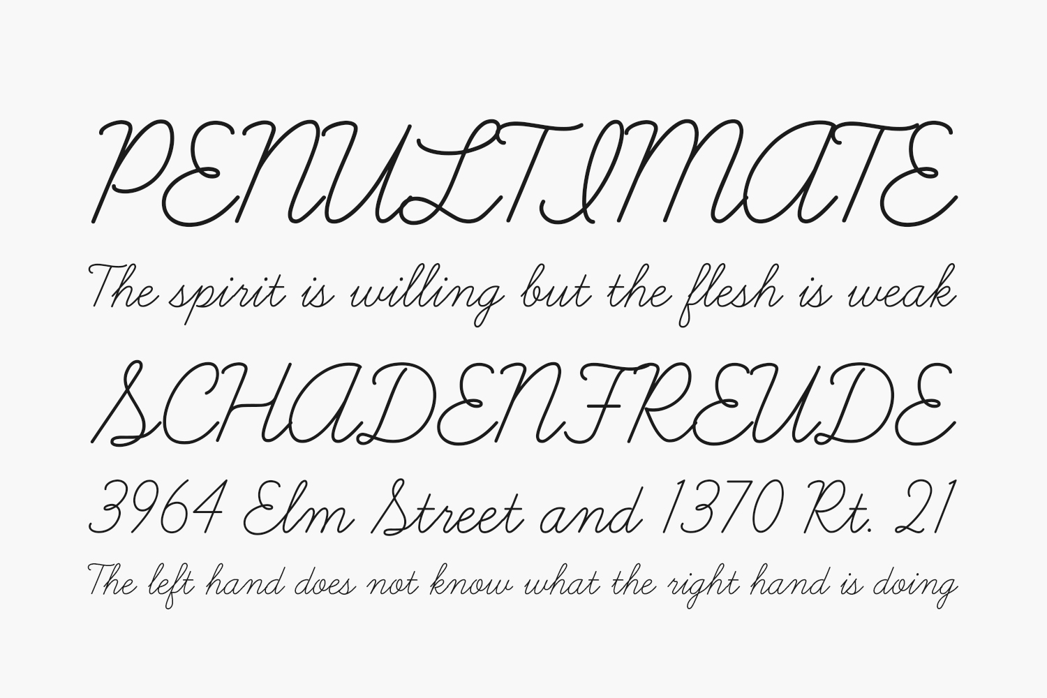 Learning Curve Pro Fonts Shmonts
