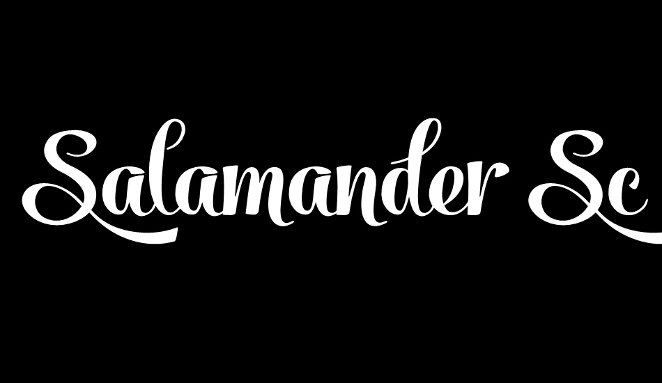 Salamander Script font Font Tr