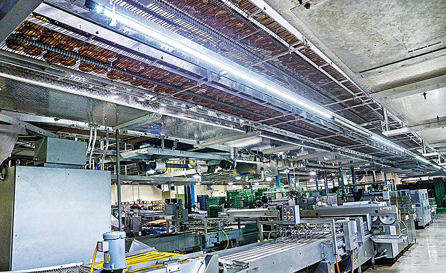 Lighting the way to enhanced processing 20160618 Food Engineering