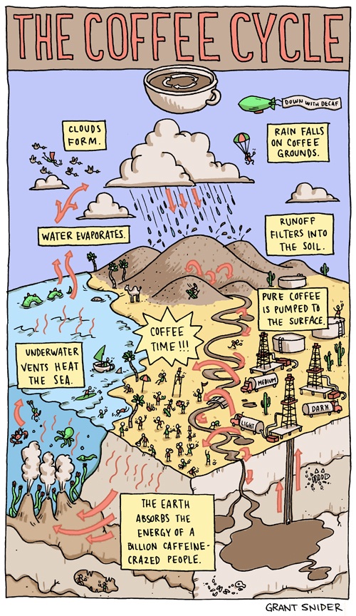 The Coffee Cycle Foodiggity