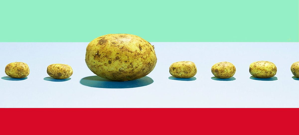 The pros and the cons of GMO foods