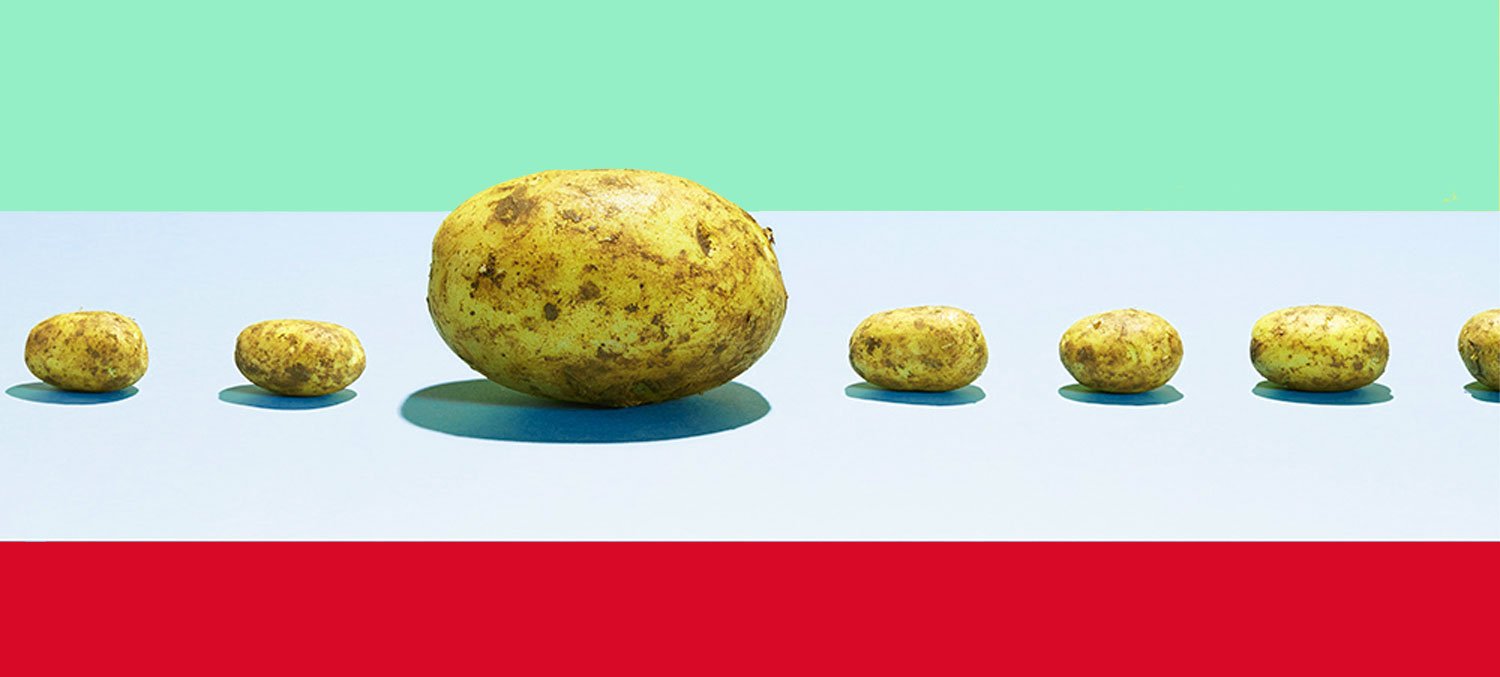 The pros and the cons of GMO foods