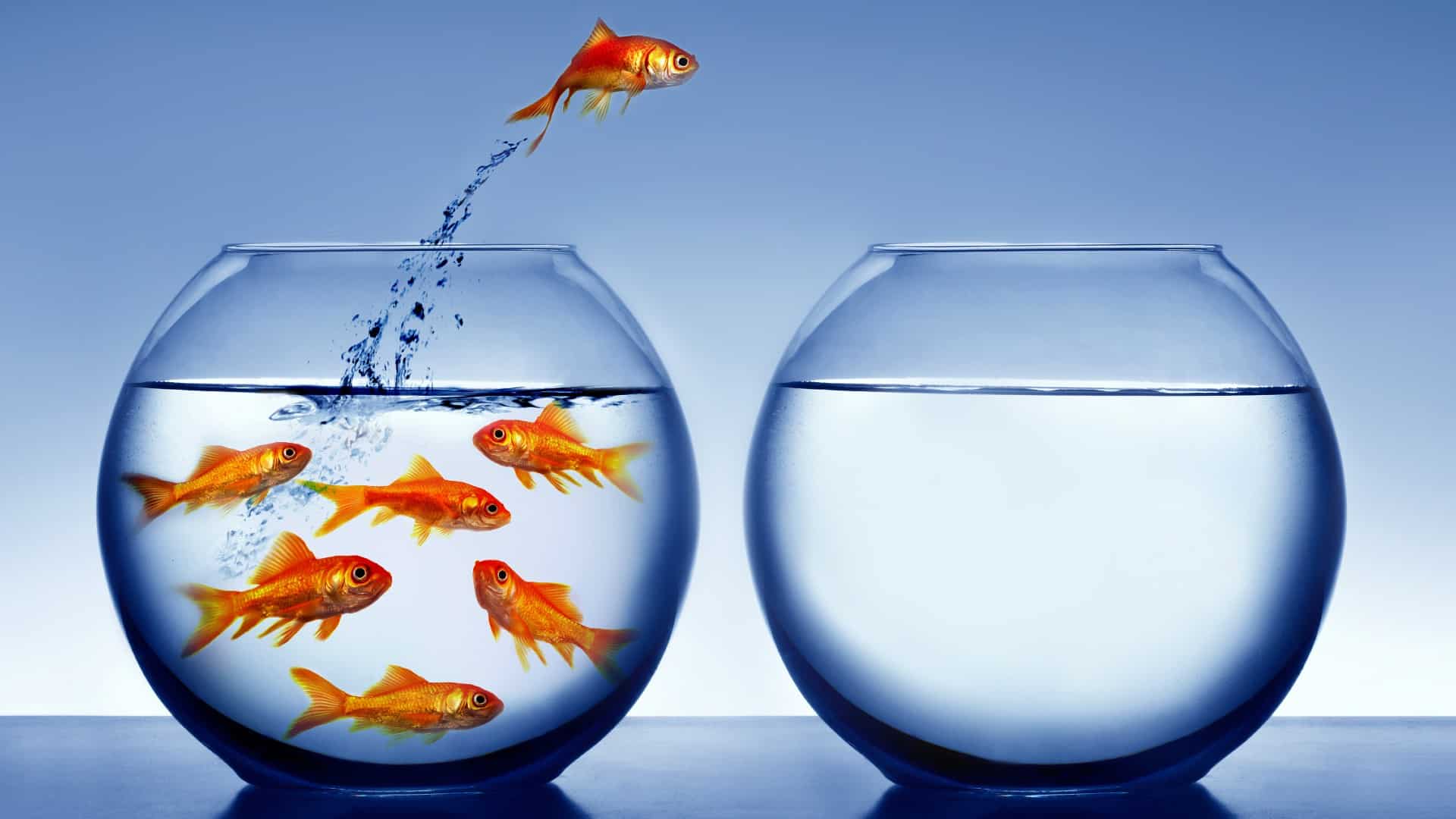 Why the Fatfish (ASXFFG) share price is soaring today