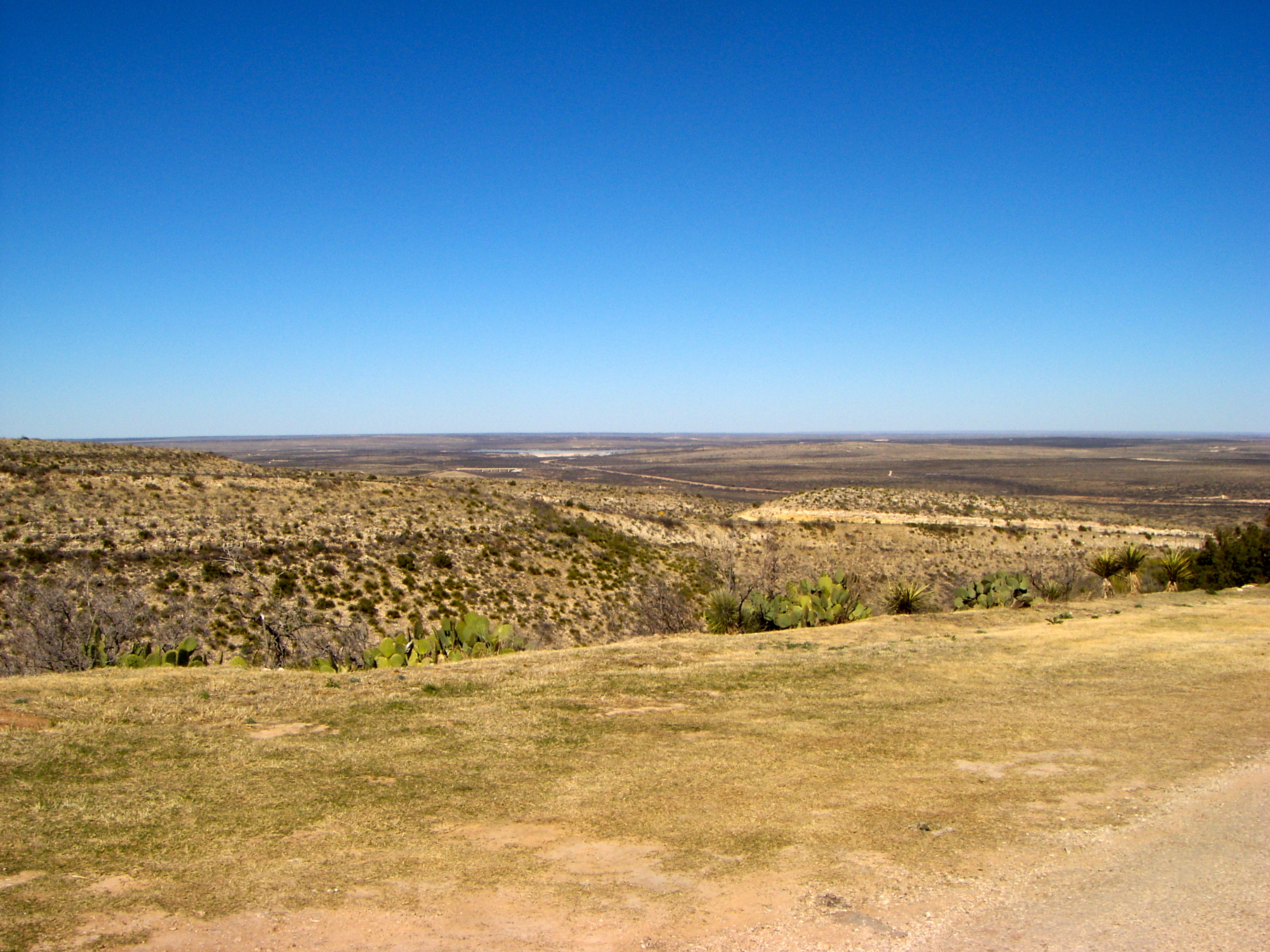 Carlsbad, New Mexico Fools Rush Out