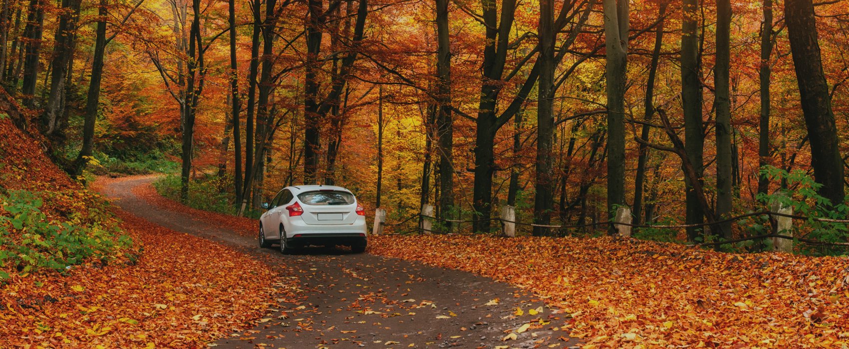 Foothill_Auto_Bg_04 - Foothill Auto Service - Cameron Park, CA - Auto