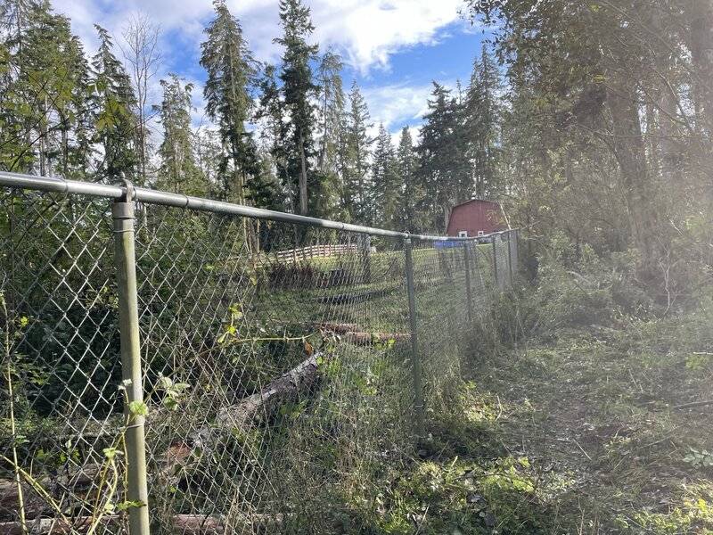 Stop in for a cup of coffee Page 23524 For A Bodies Only Mopar Forum