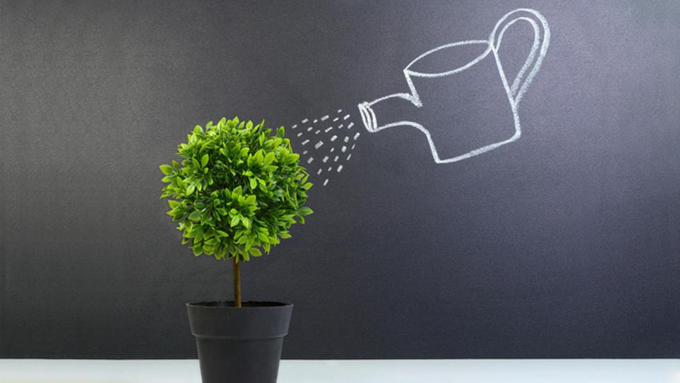 What Is APY? Forbes Advisor