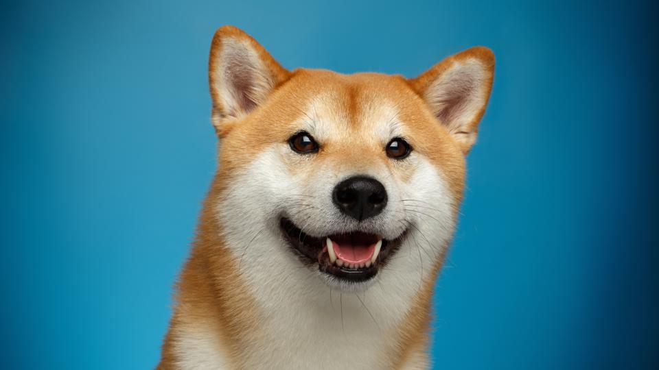 What Is Dogecoin And How Does It Work? Forbes Advisor