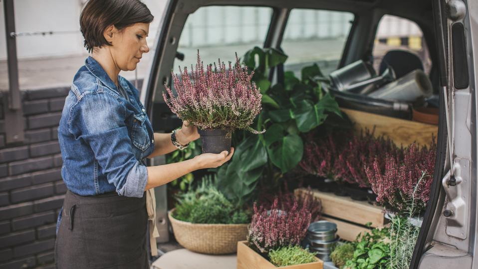 How Commercial Auto Insurance Works Forbes Advisor