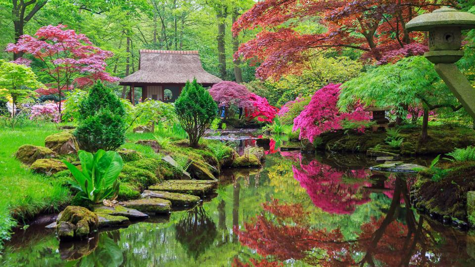 Inspirational Japanese Zen Garden Ideas Forbes Advisor