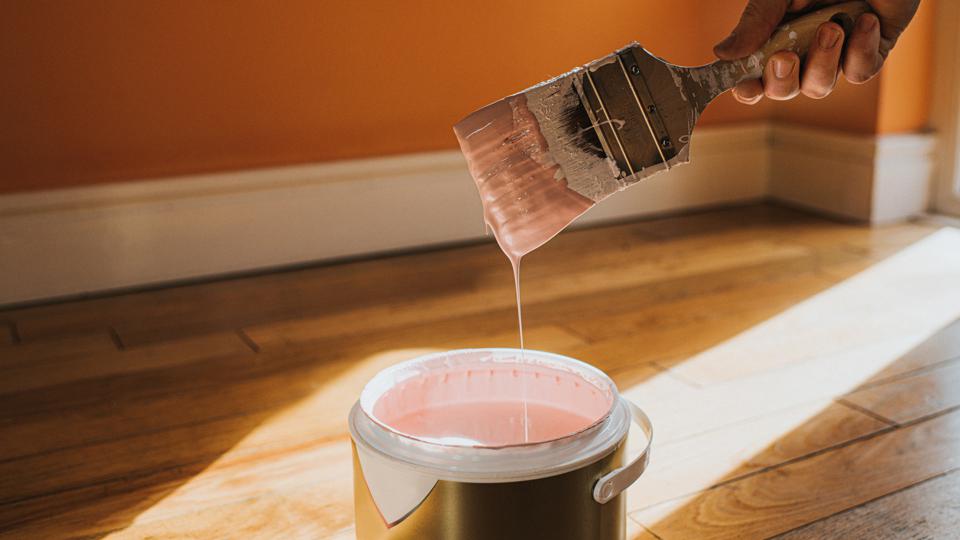 How Much Paint Do I Need? Forbes Advisor