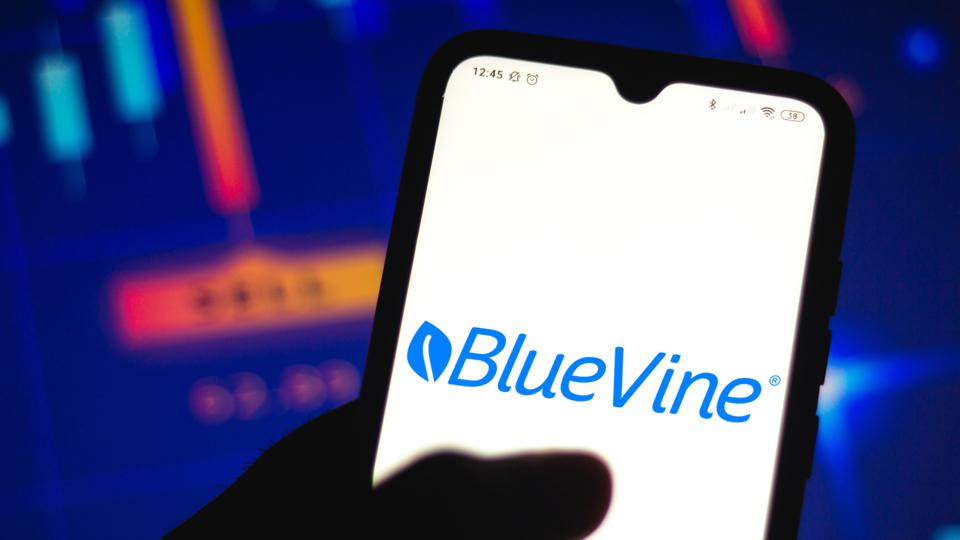 BlueVine Business Loan Review 2022 Forbes Advisor