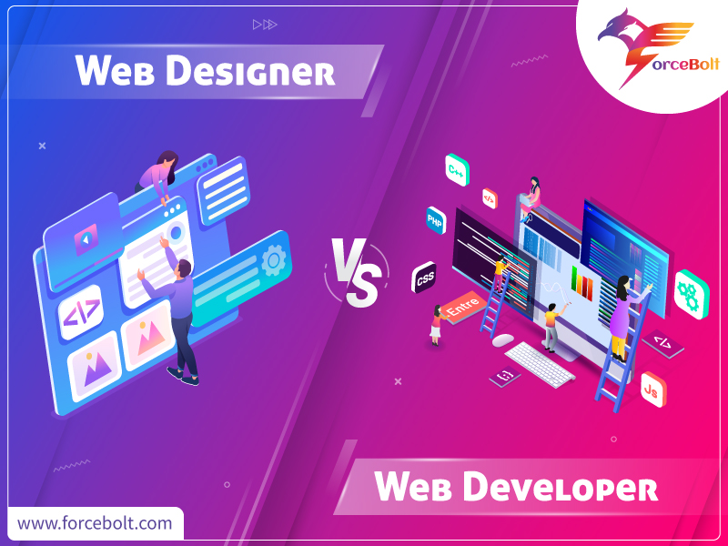 Web Designer VS Web Developer ForceBolt