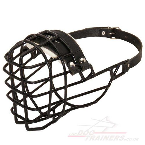 Rhodesian Ridgeback Size of Dog Muzzle for Any Weather £52.99 Dog
