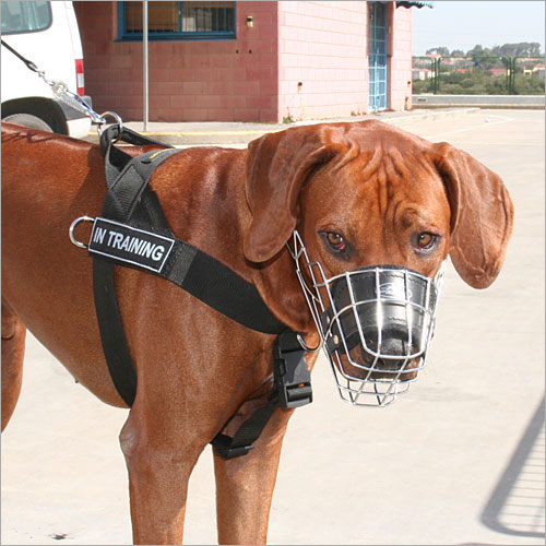 Wire Dog Muzzle for Rhodesian Ridgeback ☑ [M91057 Museruola a