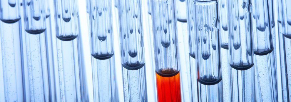 Colleges Offering Forensic Science Programs filecloudlinx