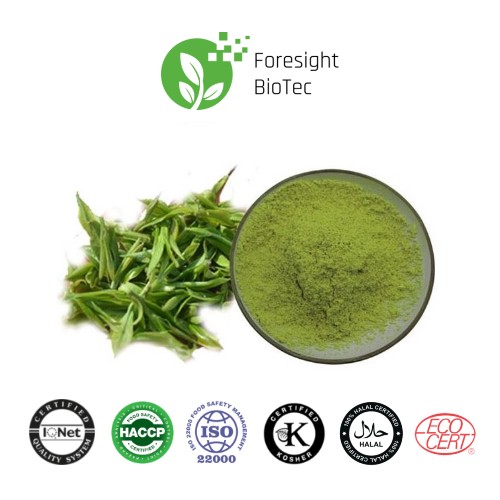 High Quality Organic Green Tea Powder, Organic Green Tea Powder, Green