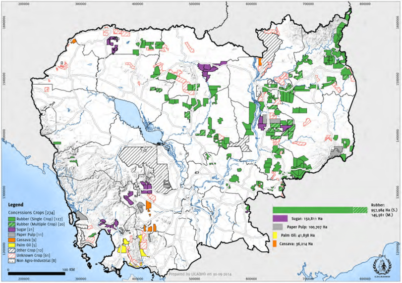 Conversion Timber, Forest Monitoring, and LandUse Governance in