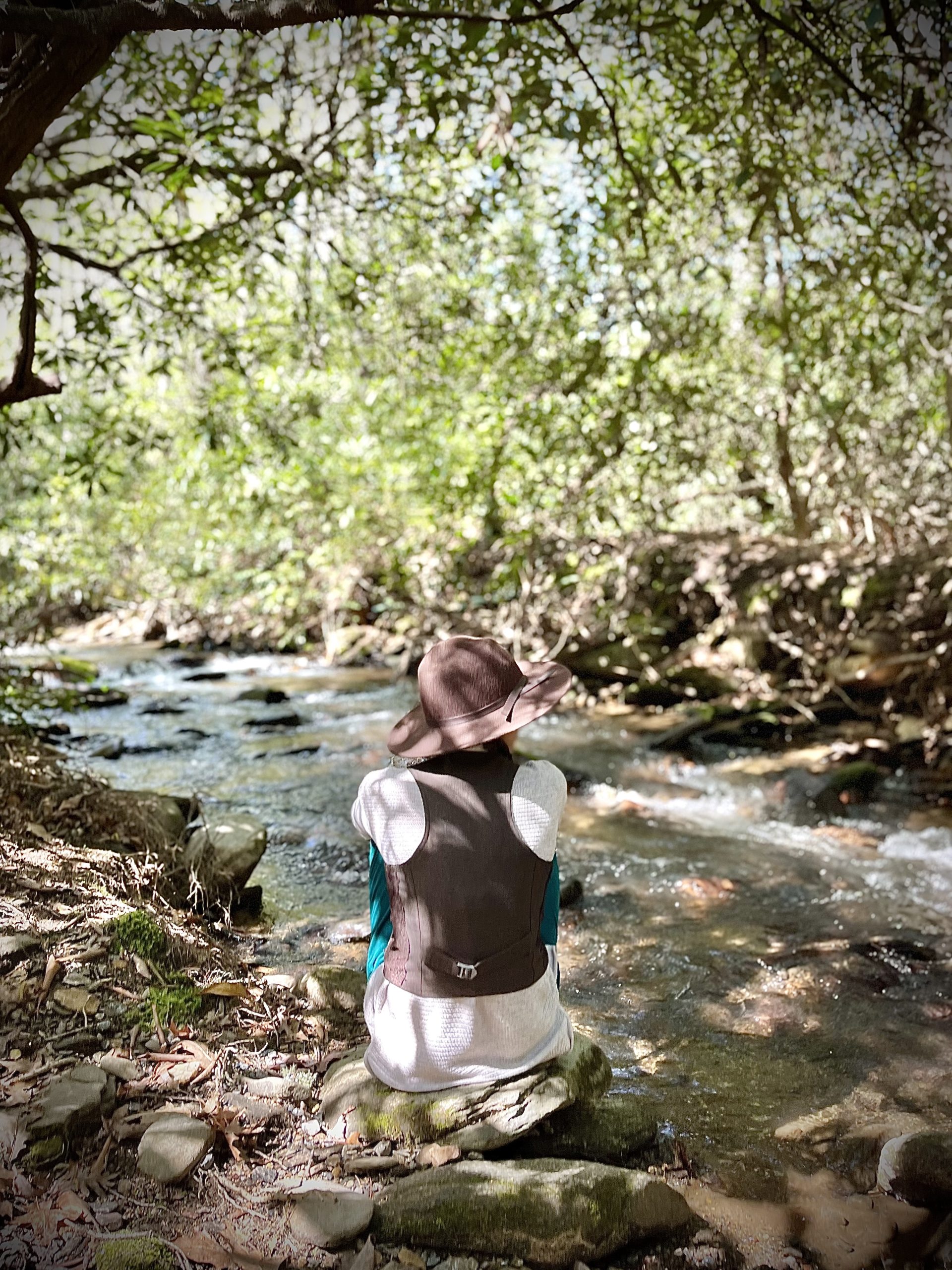 North Carolina Arboretum Forest Bathing Finder