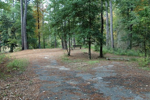 Campground Directory and National Forest Campgrounds
