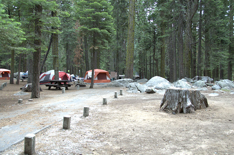 Campground Directory and National Forest Campgrounds