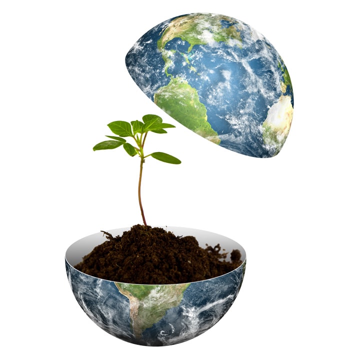 Earth Day is the worst time to be planting trees (and other practical