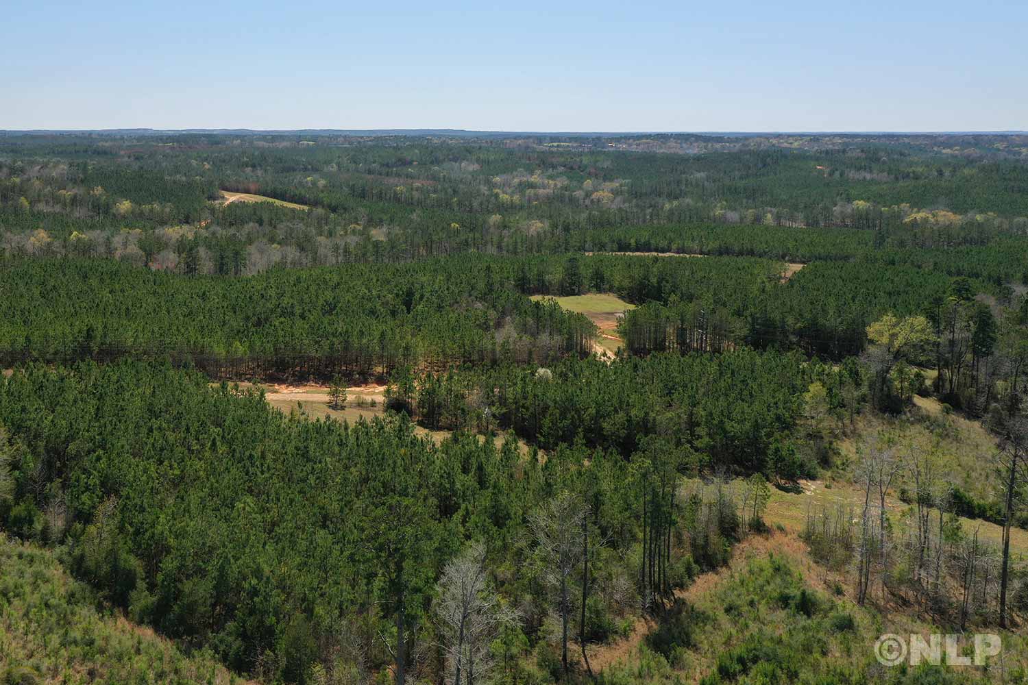 Forest Ridge Land Property Photo Gallery