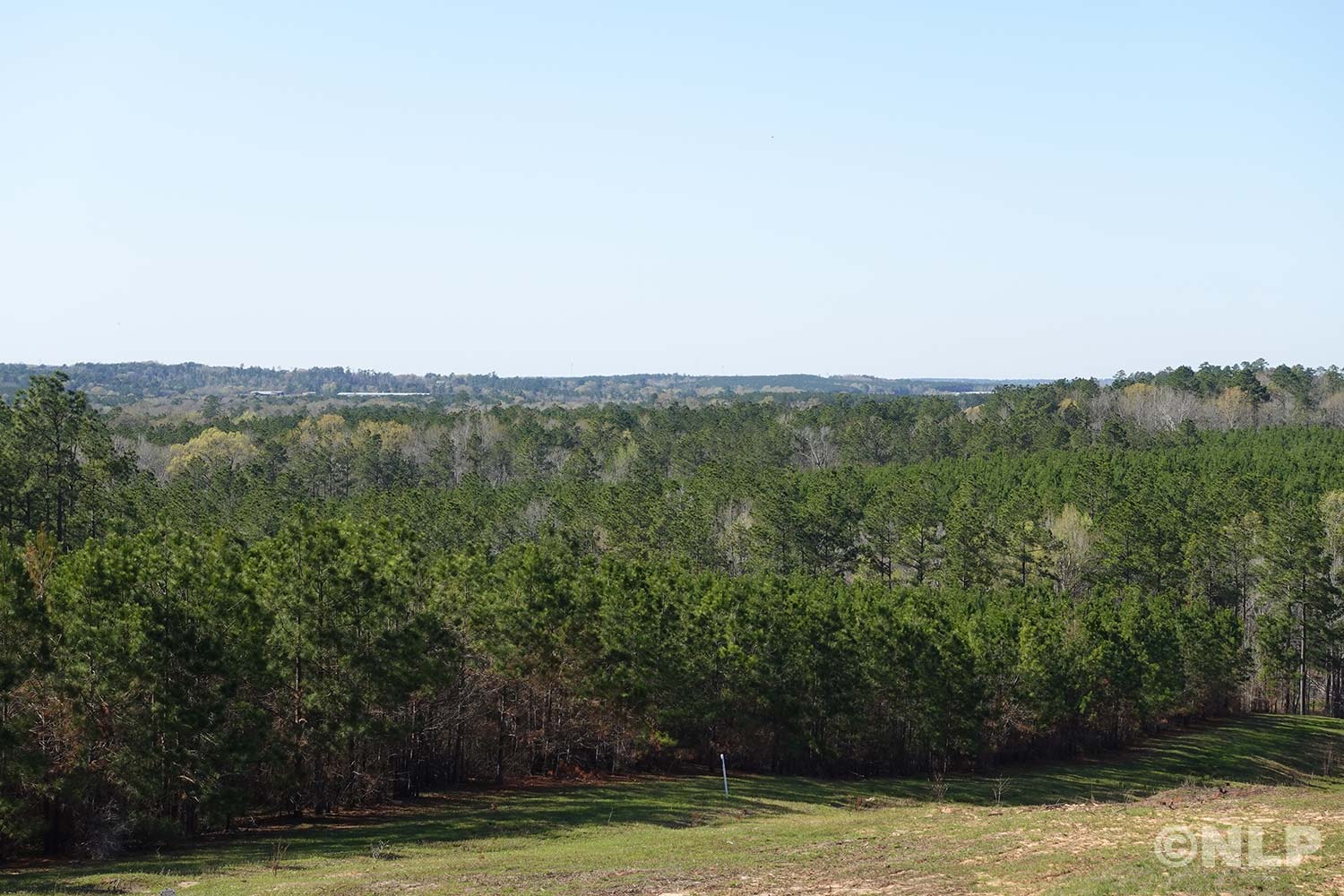 Forest Ridge Land Property Photo Gallery