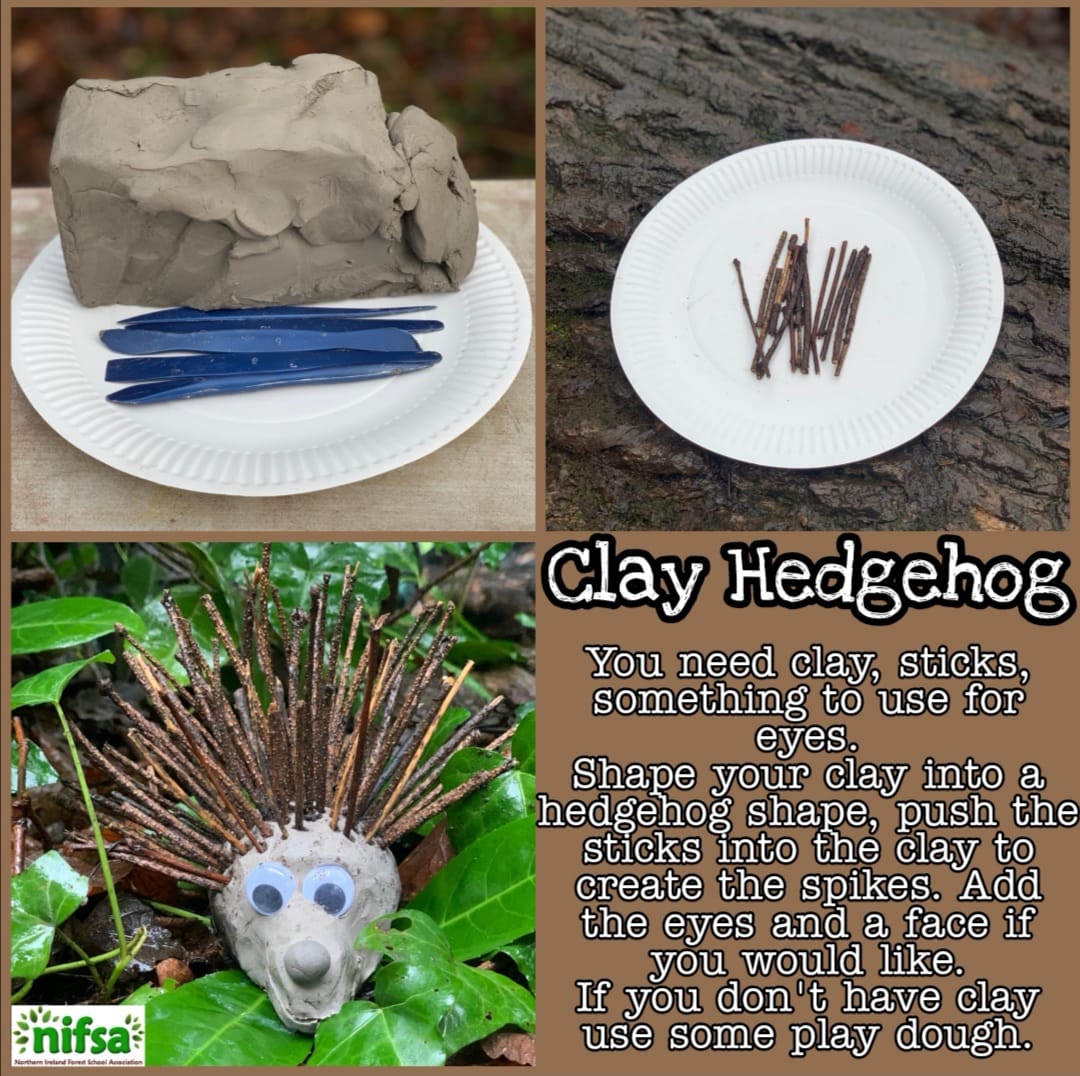 Clay Hedgehogs • Forest Schools in Northern Ireland