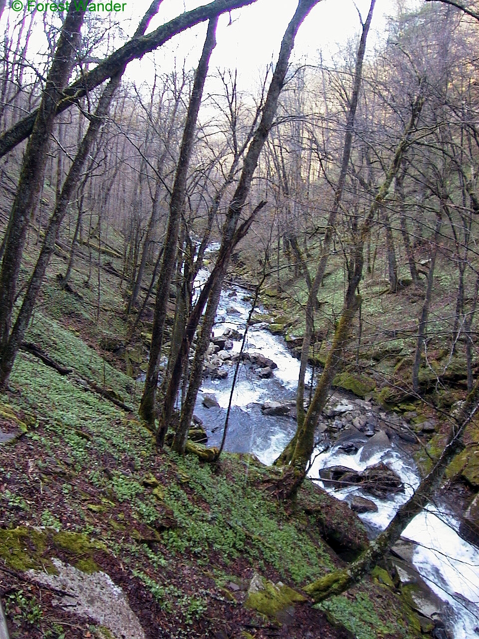 Spring Hills Creek Creeks & Streams Free Nature Pictures by