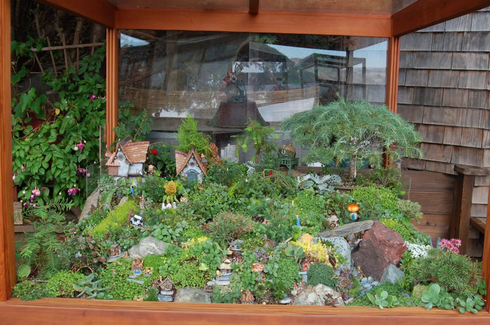 Mini Landscapes Forever Redwood