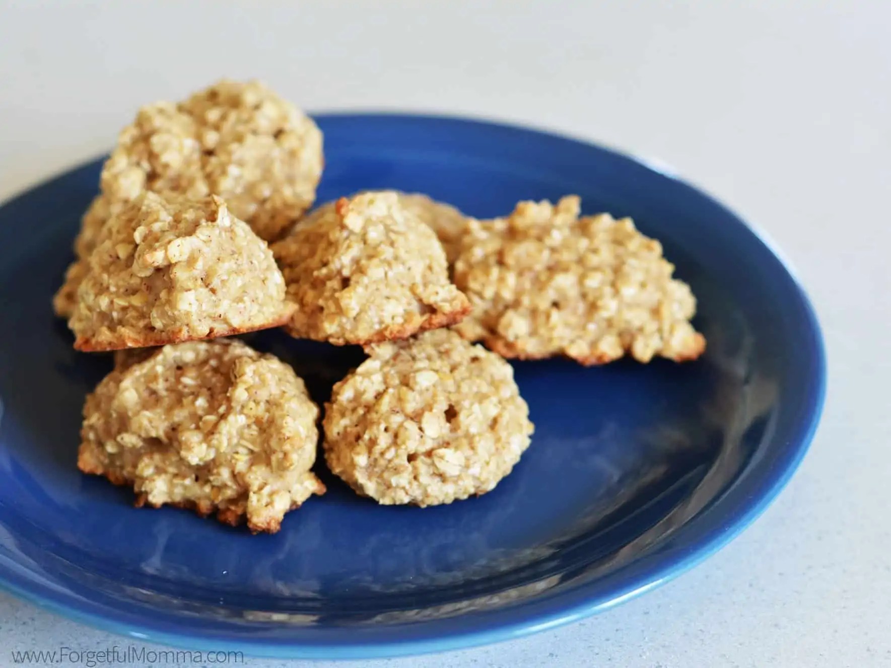 Oatmeal Cookies Egg Free, Dairy Free