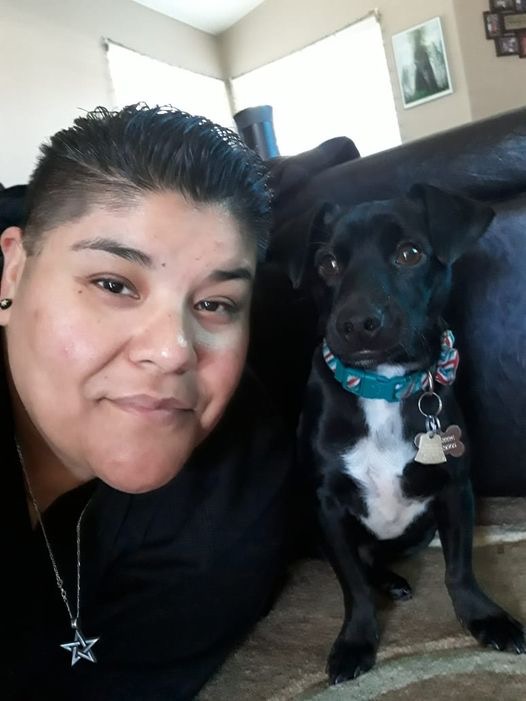 Summer Newsletter Me Not Rescue of Kern