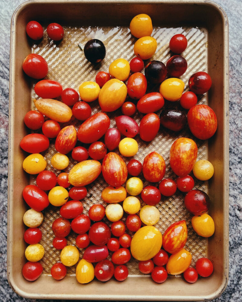 Carbs in Grape Tomatoes vs Total)