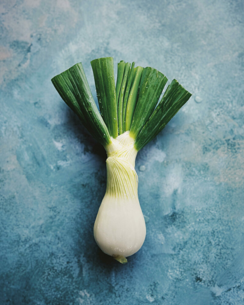 Carbs in Onions vs Total)