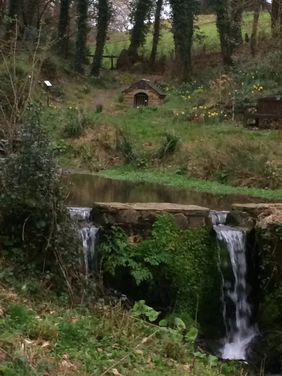 Spring 2017 at the woodland garden Garden of