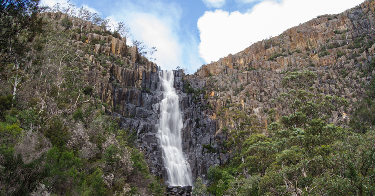 Pelverata Falls Hike Tasmania Fork and Foot
