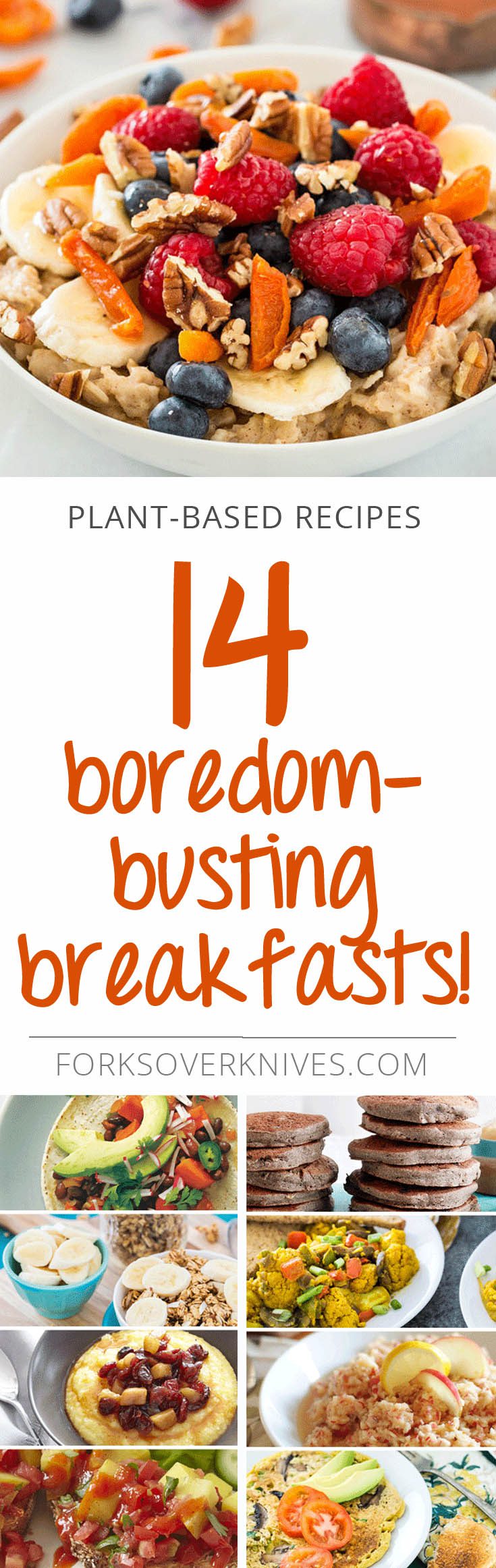 14 BoredomBusting PlantBased Breakfasts! That's 2 Weeks of Breakfast