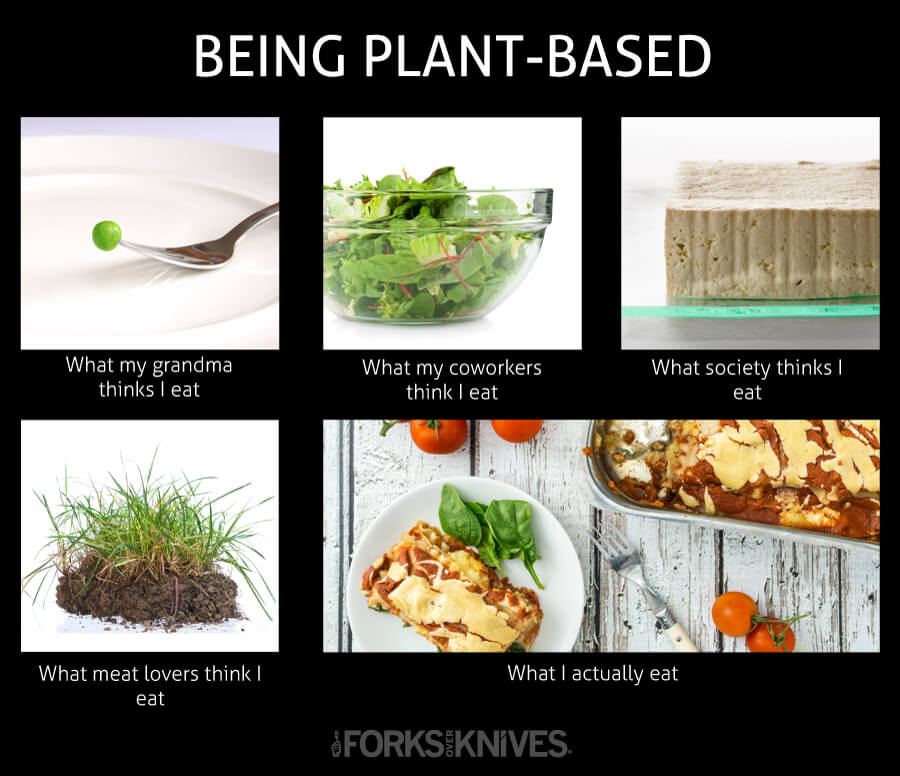 Top 8 Myths About Eating Vegan, Busted