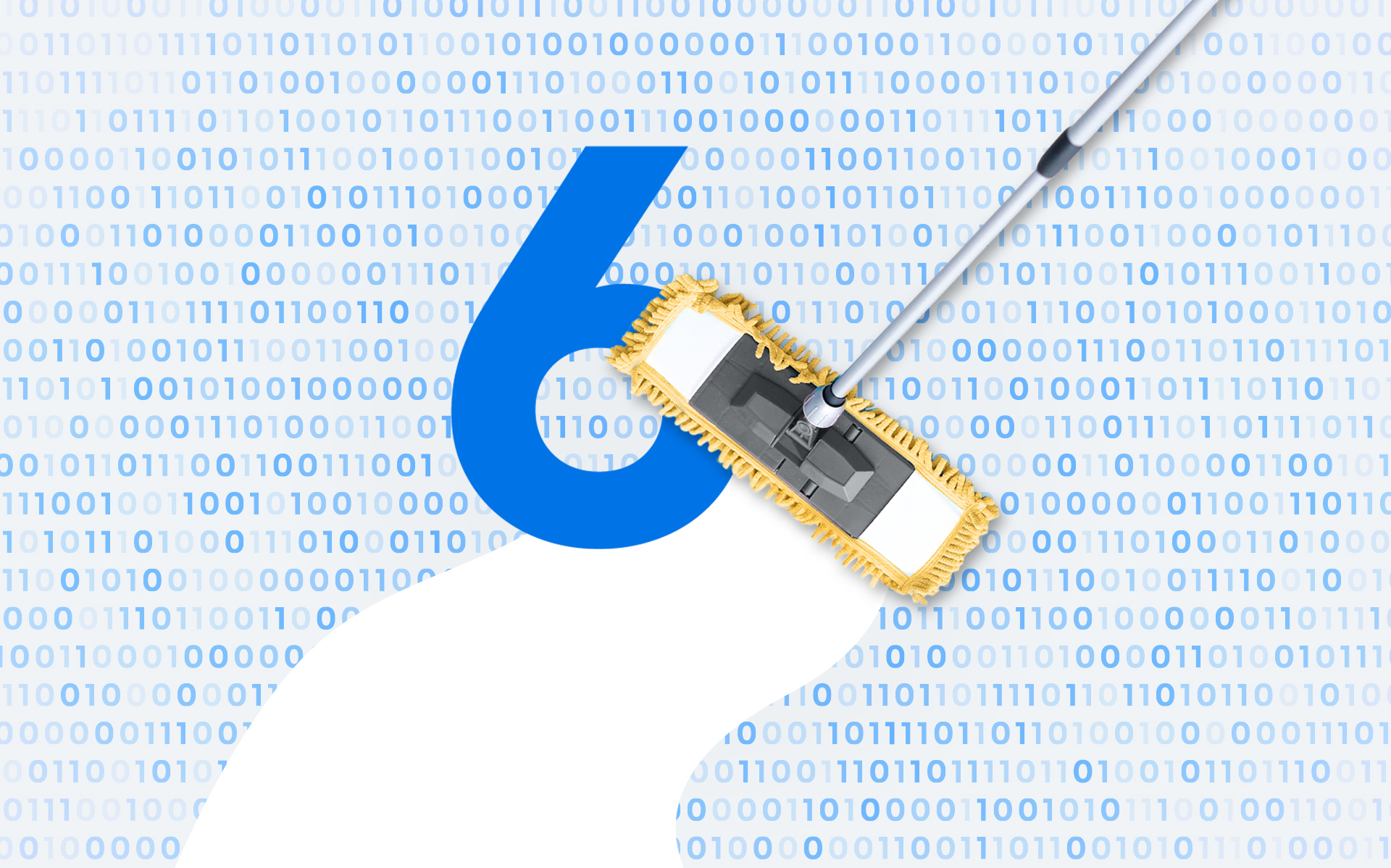 The Data Cleanse Checklist 6 Essential Steps to "Spring Clean" Your Data