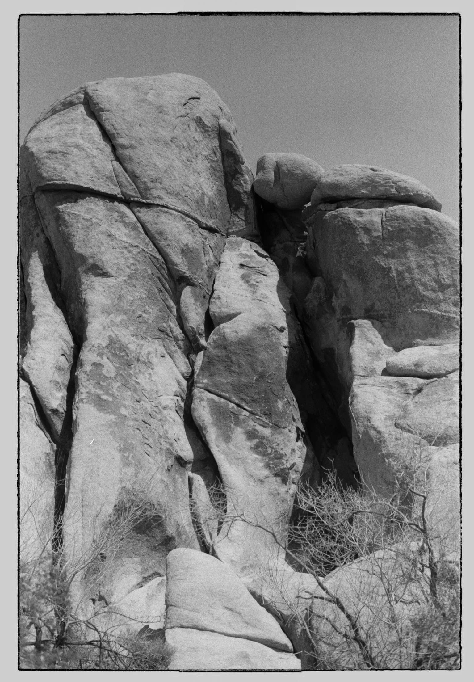 Preserving the Earth's Memory in Photographs