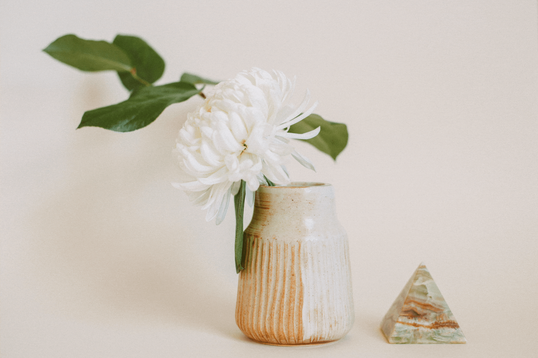 How Pottery Inspired Our Latest site Template Design
