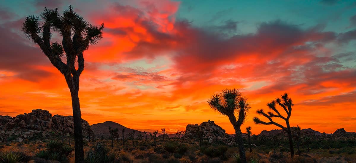 The Complete Guide To Sunset Photography
