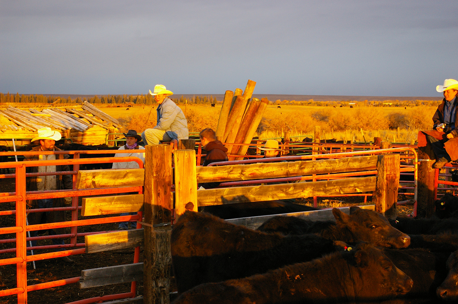 Fort Supply Technologies