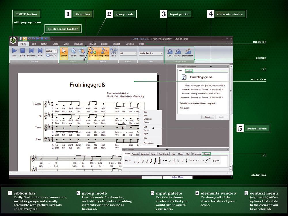 FORTE Workspace Overview Forte Notation