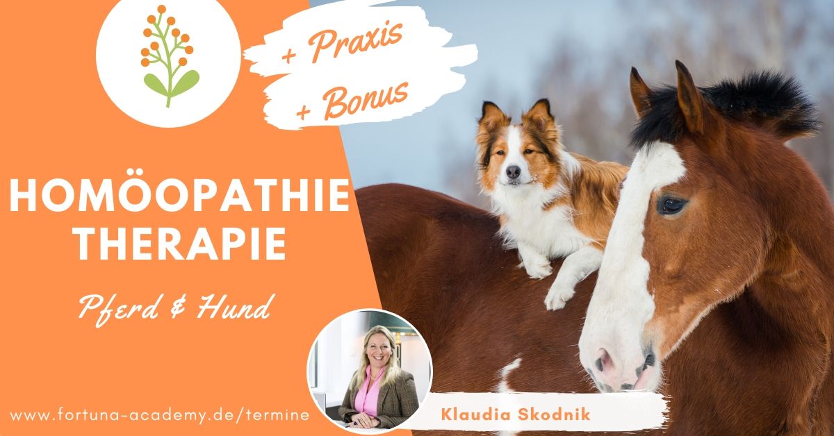 Homöopathie Therapie Pferd und Hund Fortuna Academy