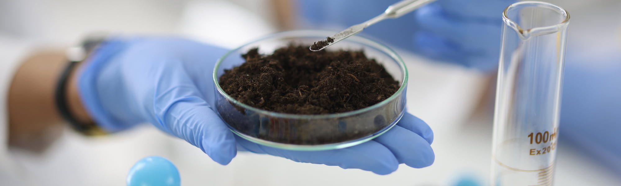 What Is A Perc Test & When Do You Need One? FortuneBuilders