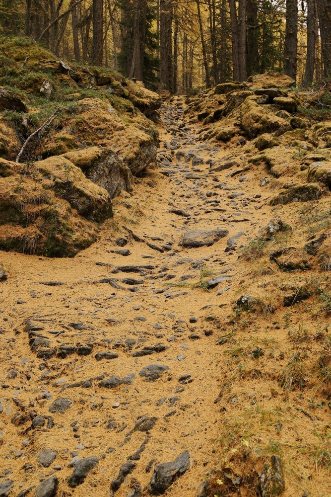 Chemin de sable Photos de paysage et de nature