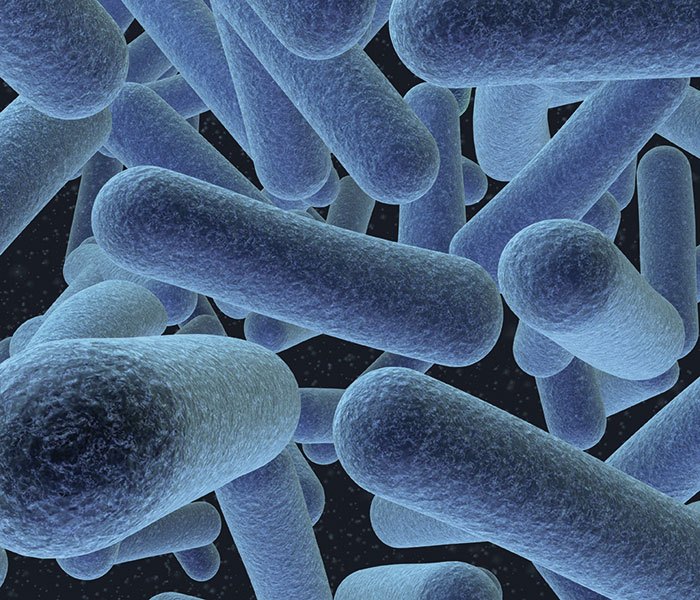 Rapid bacteria count for raw milk as alternative to plate